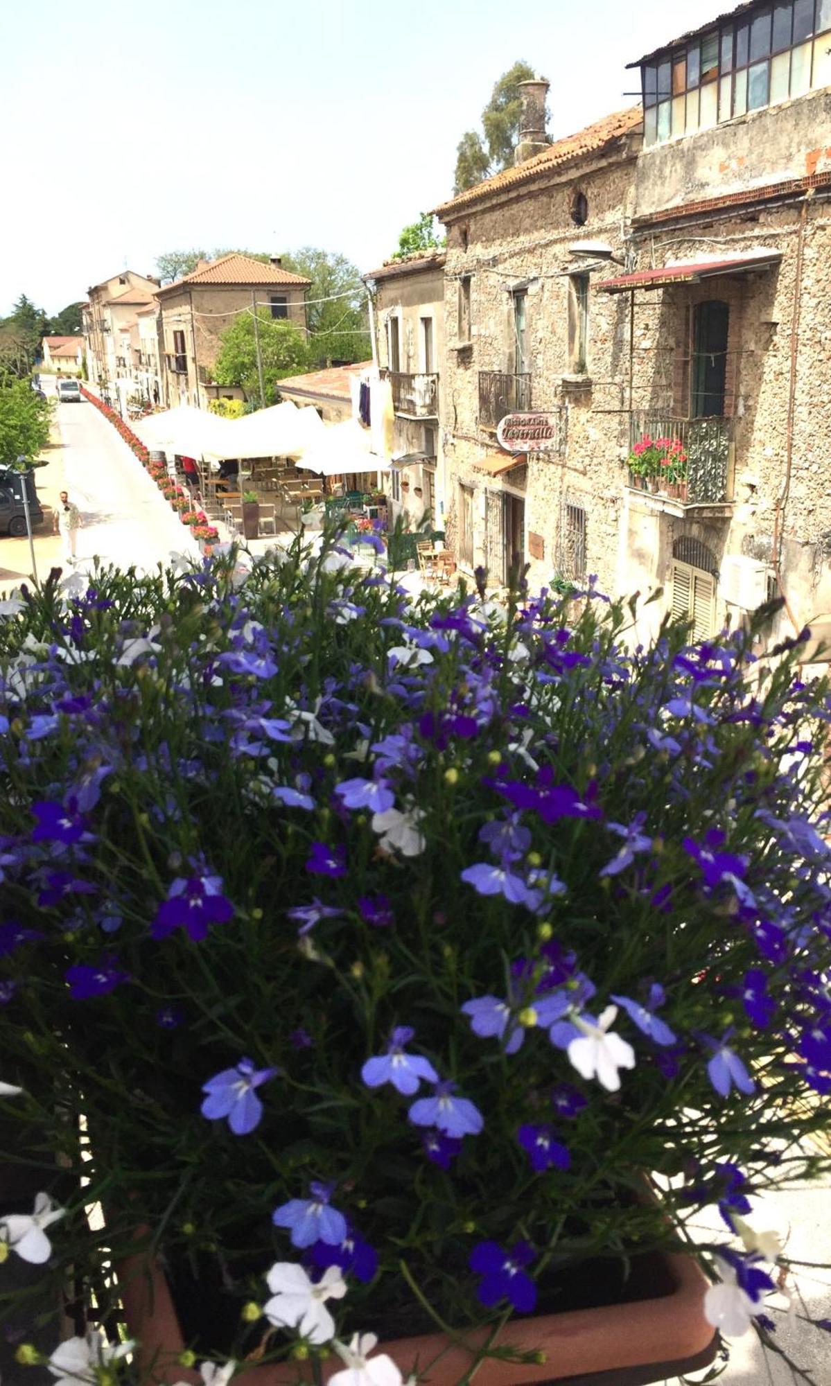 Casa Rubini Bed & Breakfast Paestum Exterior photo